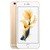 iPhone 6 Plus 6s Plus