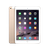 iPad Air 2