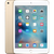 iPad mini 2 3 4