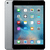 iPad mini